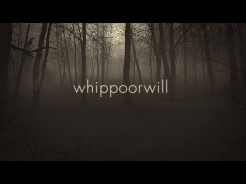 Clock Opera | Whippoorwill