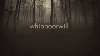 Clock Opera | Whippoorwill