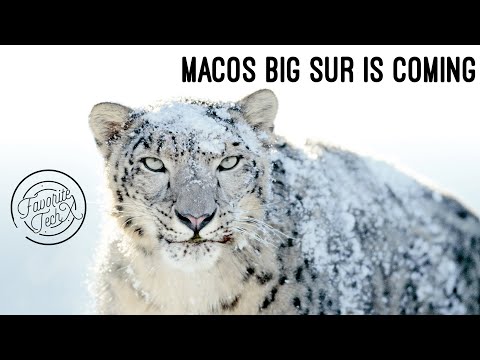 macOS Big Sur is coming 🤩