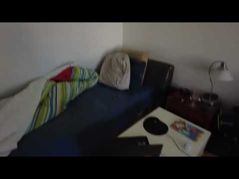 MongoTV_8703 - GODMORGEN