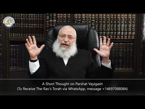 A Short Thought on Parshat Vayigash | by Harav Asher Weiss Shlit"a