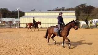 Youth Rider Training Intensive July 2016