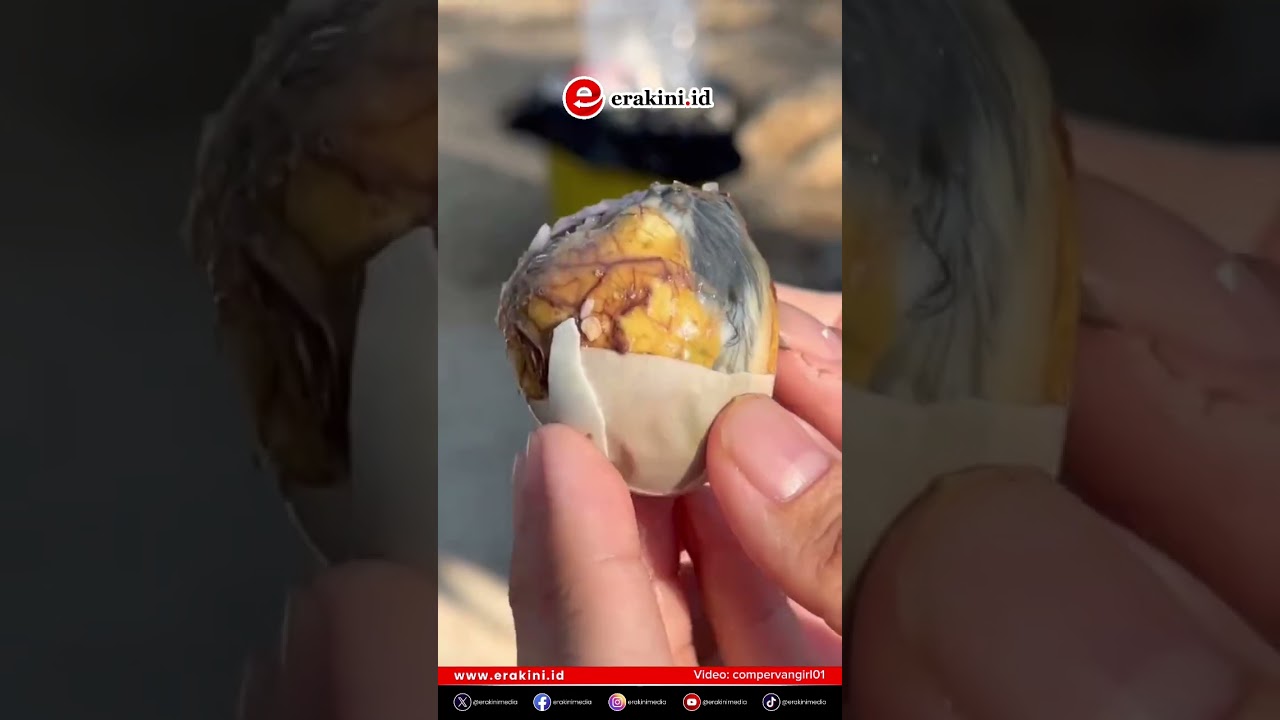 Telur Balut Isinya Bikin Kaget