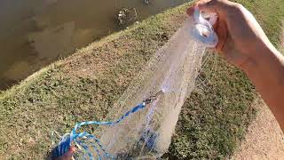 River Bait with a Cast Net