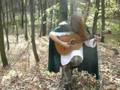 Elvenking - White willow (Tristufin's acoustic ...