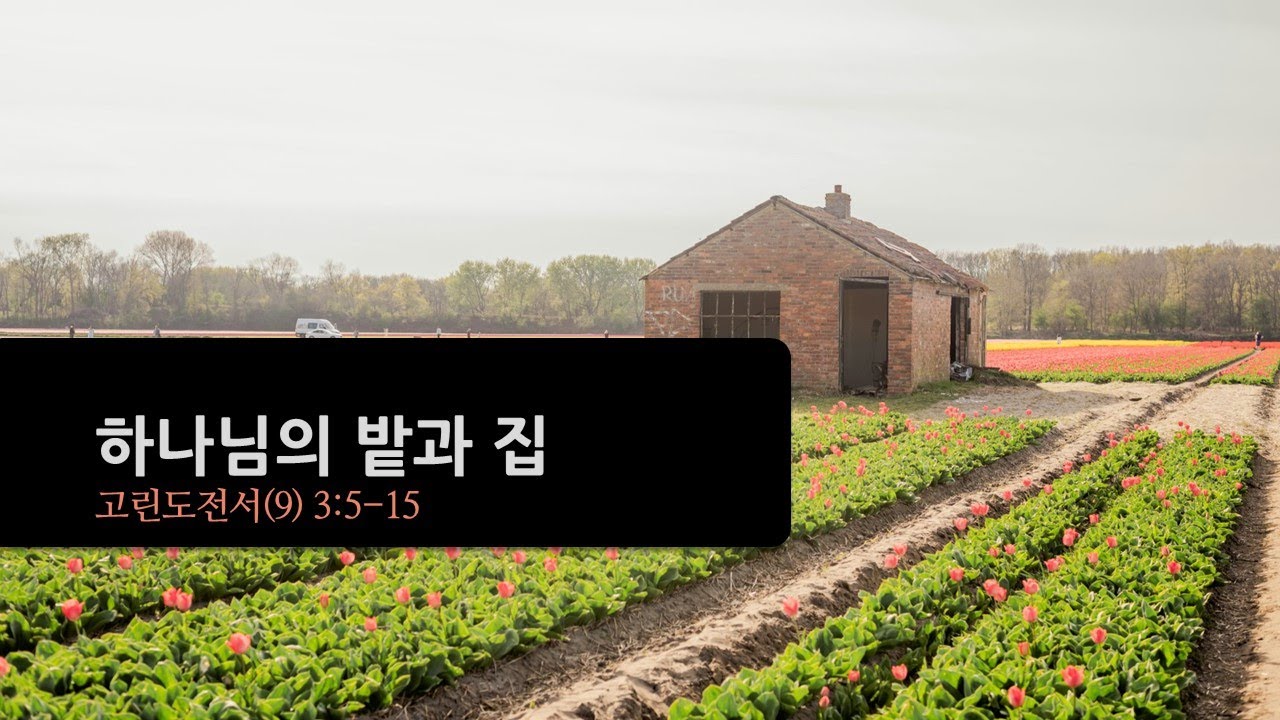 설교기본이미지