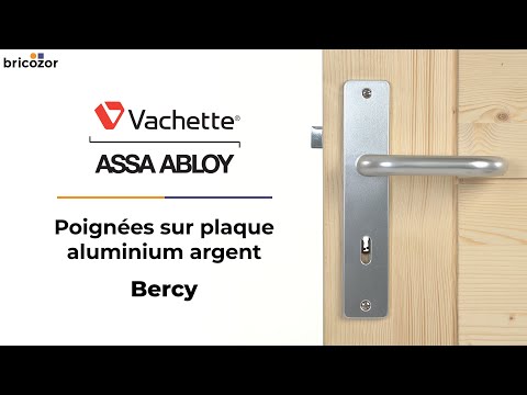 Poignées de porte sur plaques - aluminium argent - Bercy VACHETTE