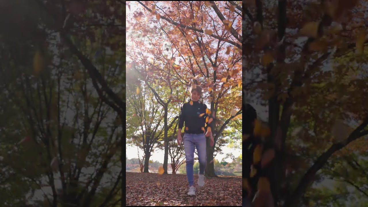 【紅葉】逆再生の世界