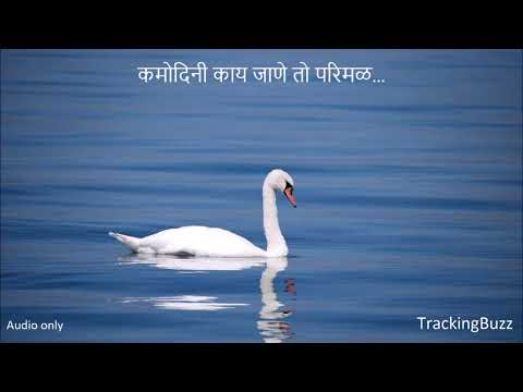 कमोदिनी काय जाणे तो परिमळ / Kamodini Kay Jane (audio only)