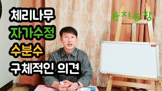 수분수가 필요한가? 두번째이야기. 어떤게 수분수인지는 저도 몰라요~~^^