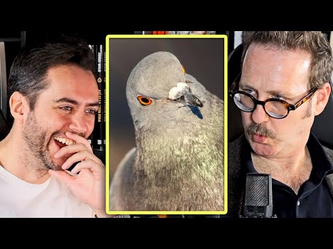 Joaquín Reyes se desmelena y se pone a imitar una paloma mientras Jordi se mea *surrealismo*