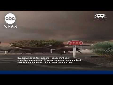 Equestrian center releases horses amid wildfires in France