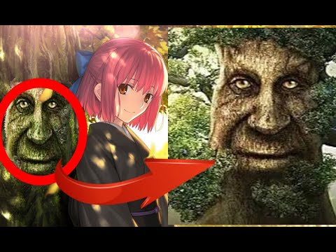 WISE MYSTICAL TREE SPOTTED IN TSUKIHIME