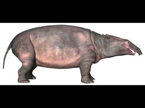 BBC Walking With Series: All Animals