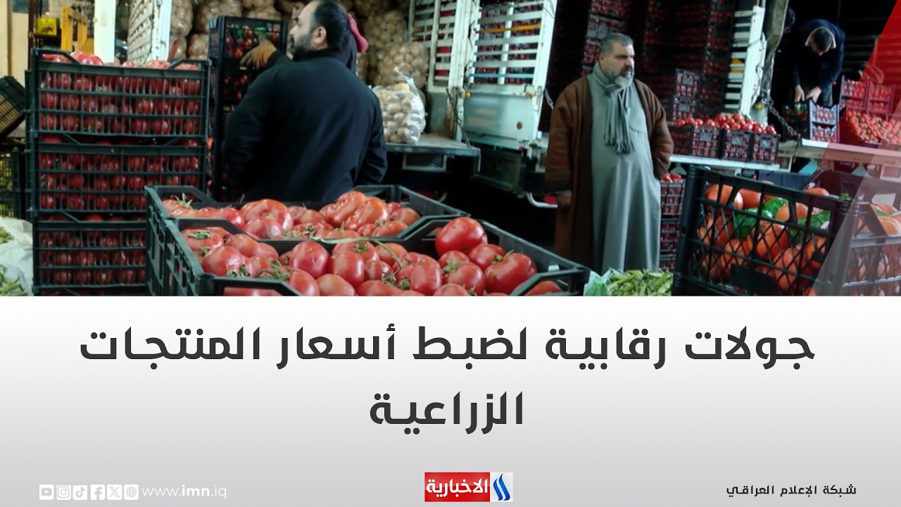 فيديو | جولات رقابية لضبط أسعار المنتجات الزراعية | تقرير انور صباح