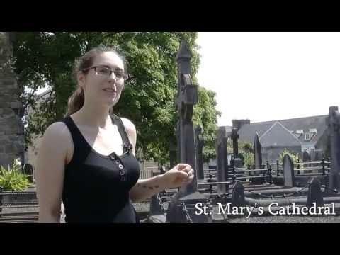 Rediscovering Limerick #4   Cleeve's Condensed Milk Factory