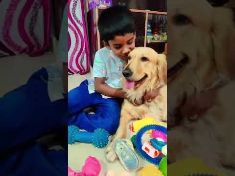 A day well spent with kleo #dogshorts #dogsloversfavorites #kidsvideo #bhongirfort