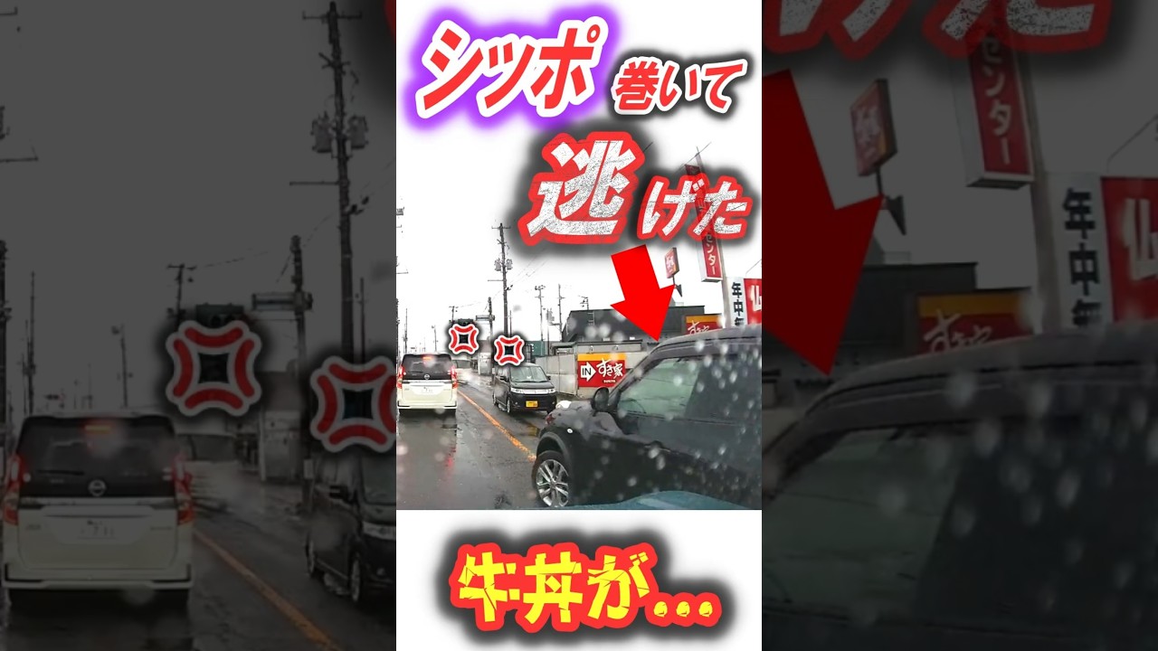 逆走してまで食べたかったの？命がけの牛どん逆走に失笑。逃走ルートがマヌケすぎるｗ