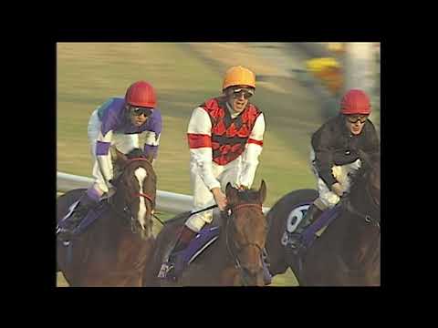 2005 Japan Cup (G1) | JRA Official