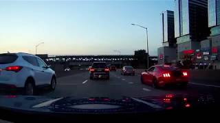 Why This Mustang Try To Give It To Me?