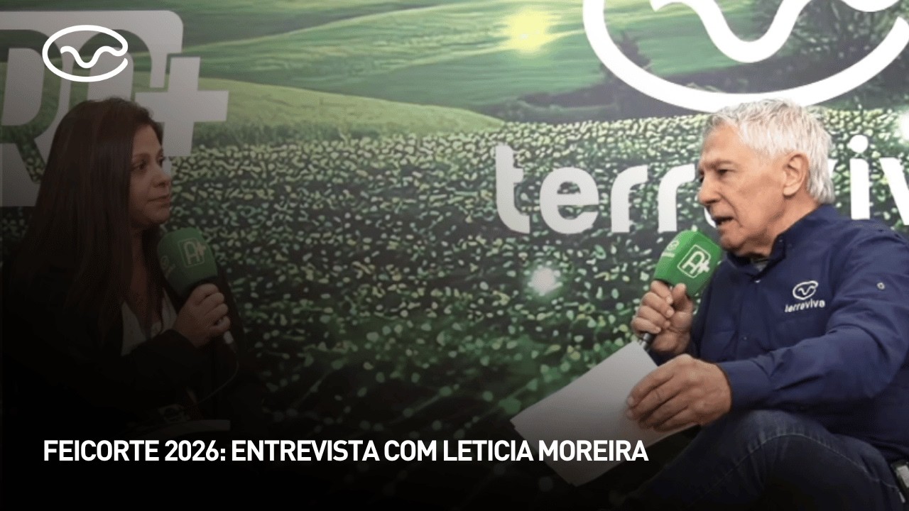 Feicorte 2026: entrevista com Leticia Moreira