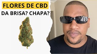 FLOR DE CBD DA BRISA? CHAPA? DA ONDA? MACONHA/CANNABIS MEDICINAL