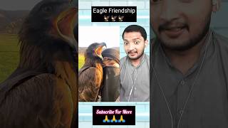 Download lagu Eagle Friendship of Girl 🦅🦅 #shorts #trending #viral mp3