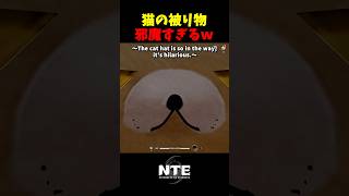 【NTE】前が見えなくなる神アイテム【NTE: Neverness to Everness】#shorts #NTE #NTECreator
