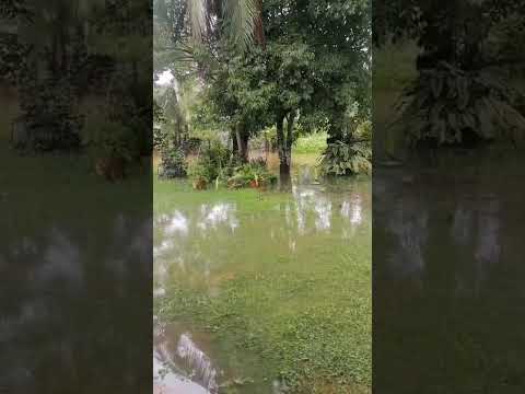 Viviendas inundadas en Manaca Norte en el distrito de Barú, provincia de Chiriquí