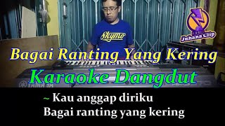 Download lagu Bagai Ranting Yang kering Karaoke Dangdut mp3