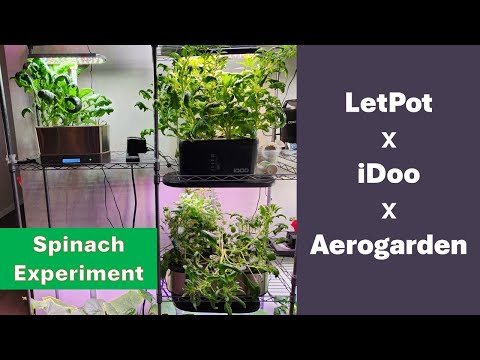 LetPot vs iDoo vs Aerogarden, Spinach in 3 gardens, side-by-side experiment