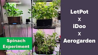 LetPot vs iDoo vs Aerogarden, Spinach in 3 gardens, side-by-side experiment