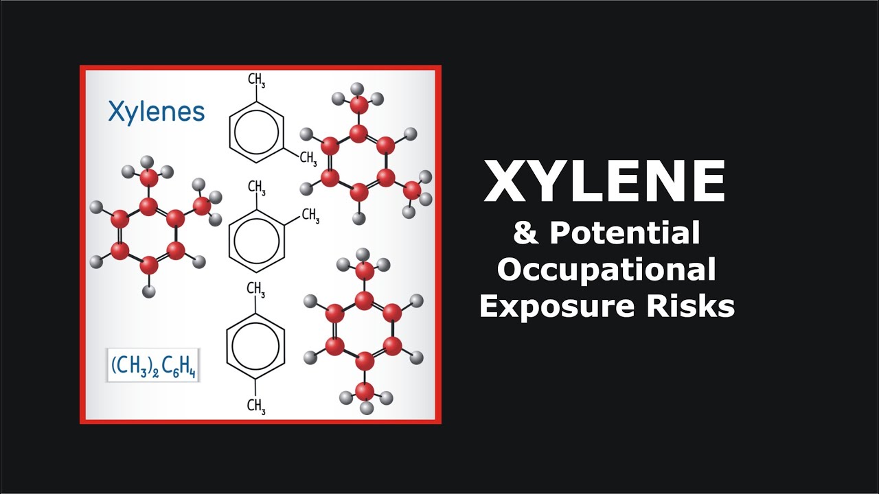 Xylene and Potential Occupational Exposure Risks