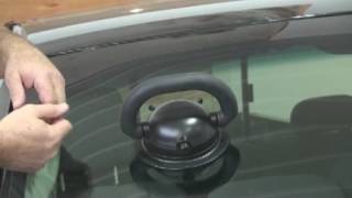 Lil Buddy Junior Suction Cups