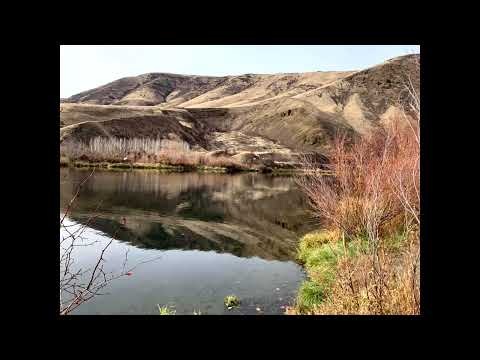 Alma Redemptoris Mater by Tomas Luis de Victoria