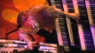 Trace - Surrender (Live at Muziek Winkel, 1977)