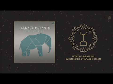 Heerhorst & Teenage Mutants - Python (Original Mix)