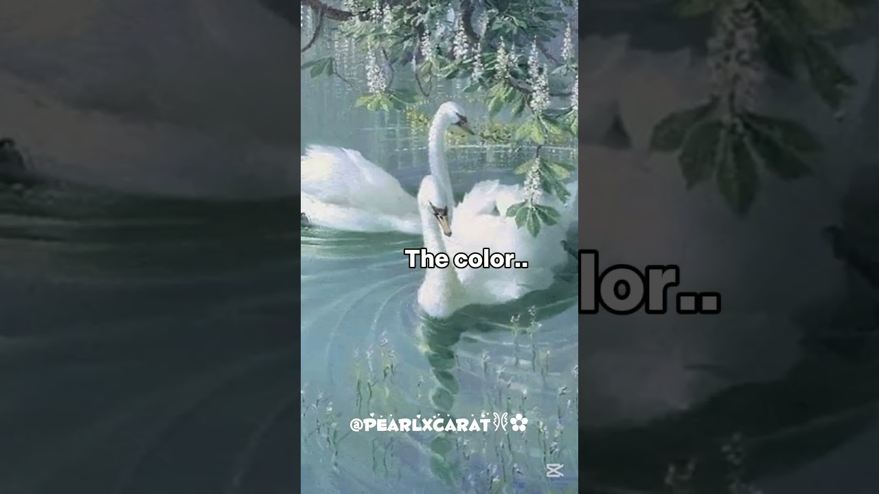 really the color 💙✨#fypシ゚viral#aestheic#kpop#edit#trending