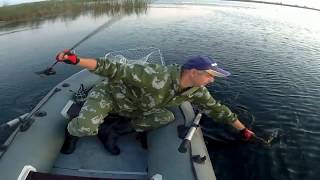 Клев щуки на прудах в сентябре