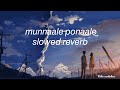 Munnaale Ponaale Slowed Reverb Vibe Catcher