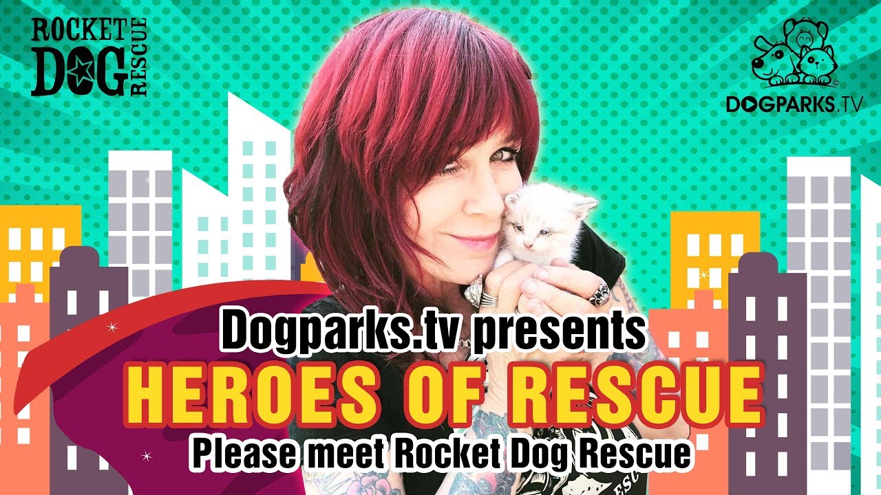 Heroes of Rescue presents Rocket Dog Rescue