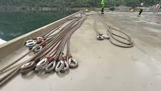 Manilles robustes dans une palette Euro - Image 4 | Machineryline BJ Manilles robustes dans une palette Euro | Image 4 - Machineryline