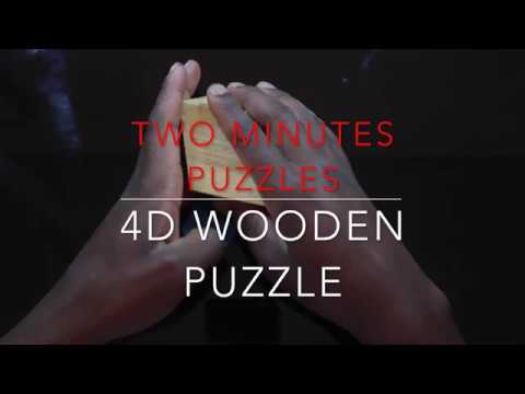 Puzzle 101 - 4D Wooden Puzzle