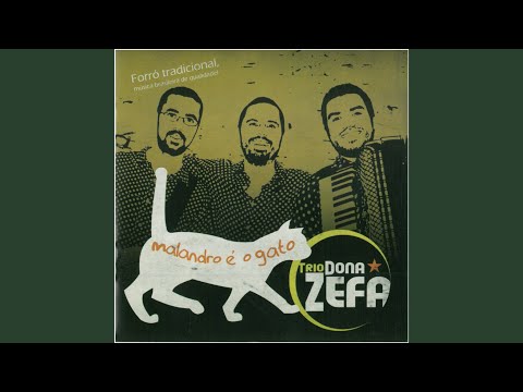 Forró Do Valentão - Trio Dona Zefa