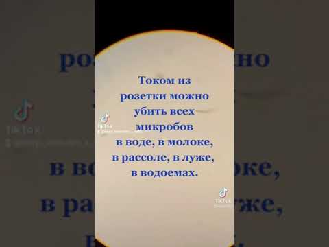 Бактерии. Микробы. Микроскоп. Пастеризация молока. Убить всех током. ТИК и ТОК. ТОК и ТИК.