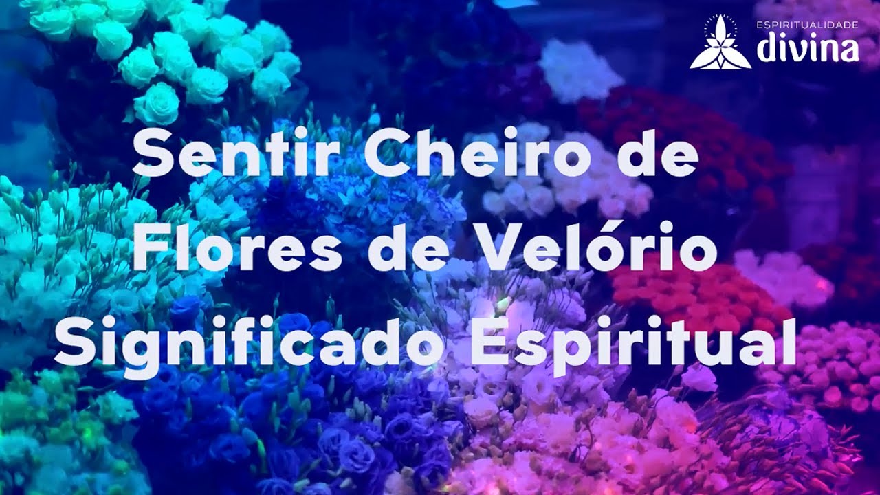 Watch Now Sentir Cheiro De Flores De Velório Do Nada (Significado Espiritual) Sentir Cheiro De Flores De Velório Do Nada (Significado Espiritual)