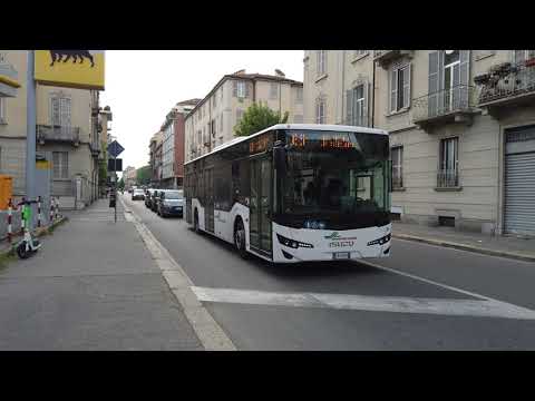 🇮🇹 Buses Turin - BUSMICCOLIS Isuzu Citiport 12  (2023)