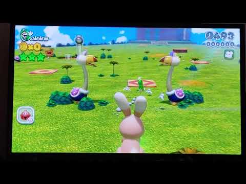Super Mario 3D World 11-5 Speedrun - Time: 25