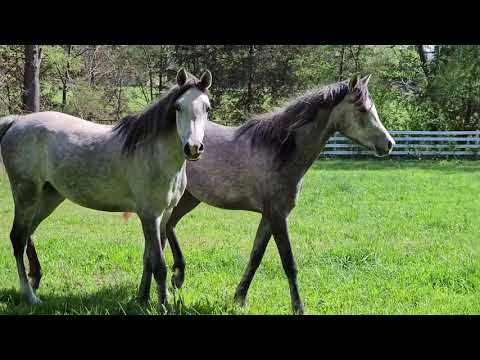 It has been an amazing start this year. Looking forward to what 2026 has in store. 