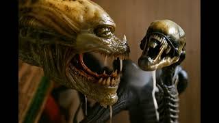 @alien ALIENS TOOK @alienshorts @alien #alien #horror